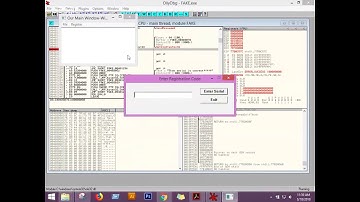 OHTS olly Debugger tute5