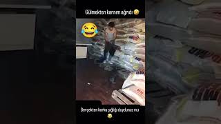 Kediden Korkan Ardkaşinda Gönder