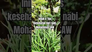Inilah 4 tips kesehatan dari nabi Mohammad SAW