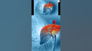 Liver Failure Warning Signs You