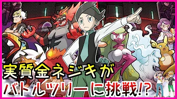 バトルツリー ポケモン バトルツリー ポケモン