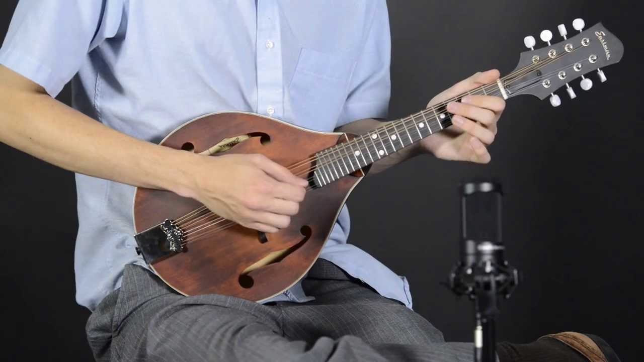 Eastman・イーストマン MD-305 マンドリン ハードケース付