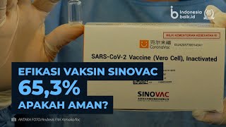 Efikasi Vaksin Sinovac 653 Apakah Aman