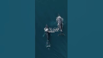 #اكسبلور #لايك #quran #راحة_نفسية #تيك_توك #تلاوة_خاشعة