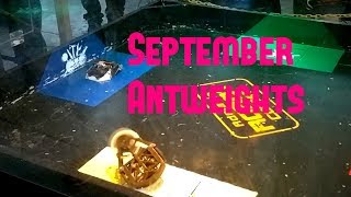 September Antweights