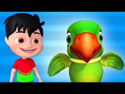 Tinku Tv Intro, Hindi Cartoon Videos and Baby Rhymes