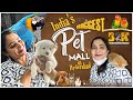     bow bow to meow meow indias biggest pet mall in hyderabad zindagi unlimited