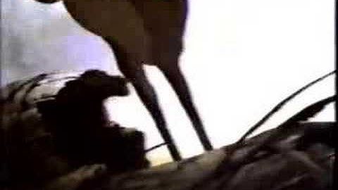 Bambi - Trailer #1 (1988 re-release)