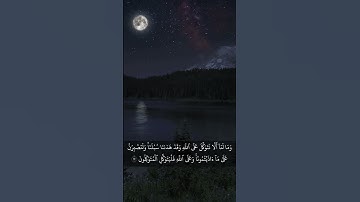 سورة إبراهيم 12                                                          اكتب شيء تؤجر عليه 🌹