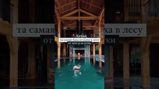 Алтай | та самая база отдыха в лесу, от 2500 за сутки. Координаты локации и промокод в шапке профиля