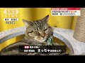 まっちゃ 2度に渡り逮捕される