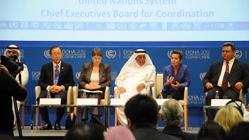 UNFCCC Executive Secretary addresses food security side event participants