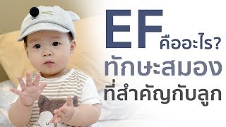 EF คืออะไร แม่ควรรู้ ฝึก EFเพื่อเสริมพัฒนาการลูกน้อย เลี้ยงลูกให้ฉลาด มีวินัย และมีความสุข | PRAEW