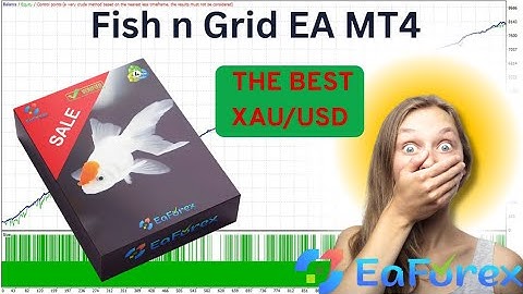 Fish n Grid EA MT4 Setting + Backtest | EA Forex Store