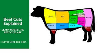 Understanding Beef Cuts