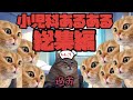 小児科あるある【総集編】