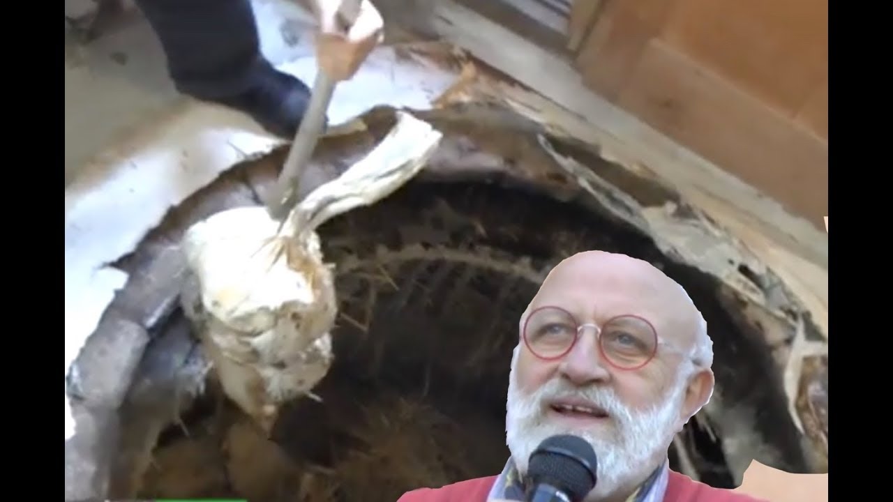 Fossa dell'Abbondanza di Renato Brancaleoni