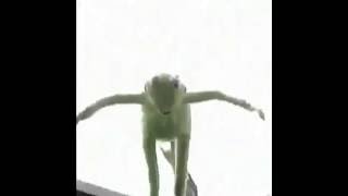 Dat Boi And Actual Suicidal Kermit The Frog