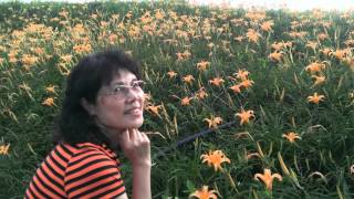 2015-09-05-花蓮六十石山金針花之旅--第一輯(1\/2)--Kris Su