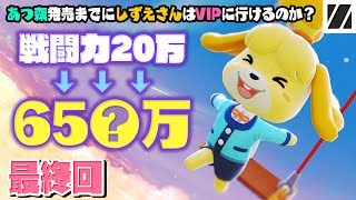 スマブラ&あつ森　2点セット Nintendo Switch あつまれ どうぶつの森セット | 任天堂 | HAD-S
