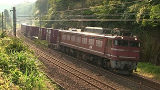 【EF510】【EF81】 北陸本線を走る貨物列車 2015年10月