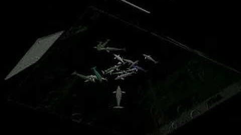 Compiz-Fusion Linux Mint Cassandra 3-D Desktop with Audio