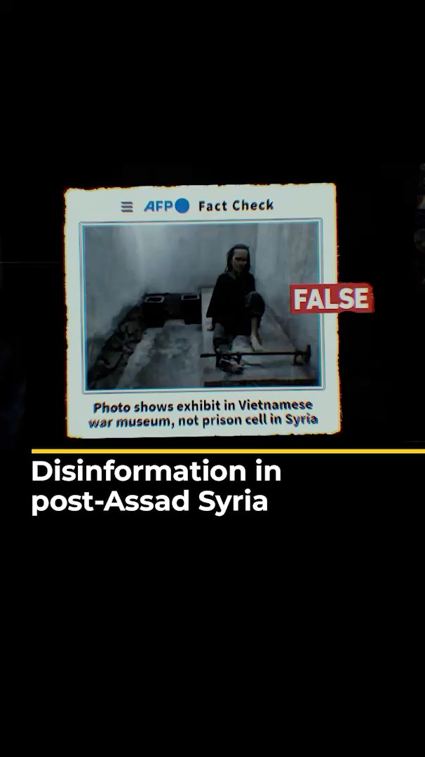 Disinformation in post-Assad Syria | LP Short