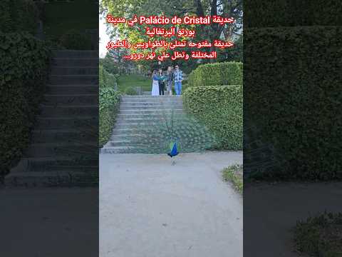 أشهر اماكن في البرتغال