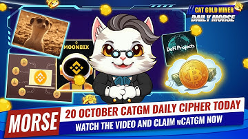 20 October CATGM Daily Cipher Today⚡️CAT GOLD MINER OFFICIAL