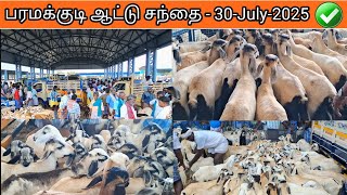 💢பரமக்குடி ஆட்டு சந்தை | ஒரிஜினல் மயிலம்பாடி வளர்ப்பு குட்டிகள் ✅ #sheep #goatfarm #goat