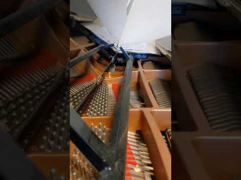 ファーストラブ/Uruさん　ピアノソロ0911.2021【歩笑のピアノ🎹】