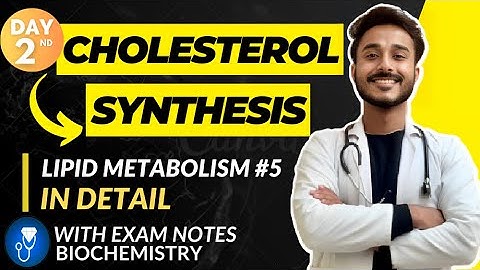 cholesterol metabolism biochemistry | cholesterol biochemistry | cholesterol synthesis pathway