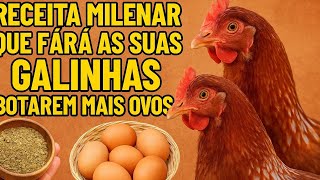Usa essa receita e me agradeça depois de veres o resultado
