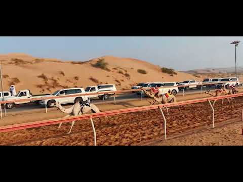 البسة   ش سالم سيف على الضحاك الشامسي  