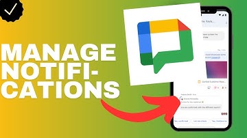 How to manage the notifications in the Google chat app?