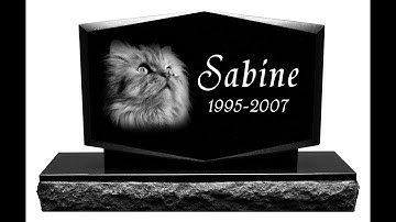 How to Edit a Photo for Laser Engraving in Less Than 5 Minutes with Corel and Photograv