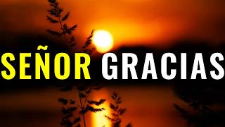 GRACIAS Señor Por Todo Lo Que Me Has Dado ¦ Oración, Gratefulness #oraciondehoy