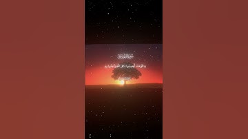 سورة الأحقاف|31|القارئ:#ياسر_الدوسري  #قران #quran #راحة_نفسية #قران_كريم #تلاوة_هادئة #تلاوة_خاشعة