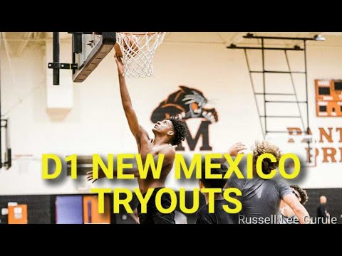 D1 NEW MEXICO: