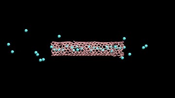 LAMMPS tutorials | Exercise | Insert gas in the carbon nanotube
