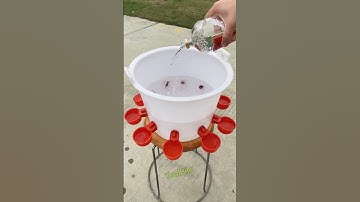 Easy Poultry Watering Solution | Automatic Water Feeder Demo #diytools