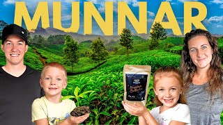 Everyone Told Us To Visit Munnar  Exclusive Tour!