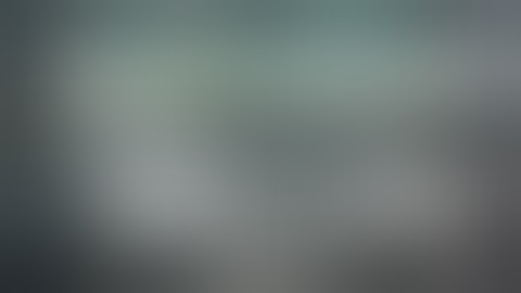 Verint Security Intelligence Overview