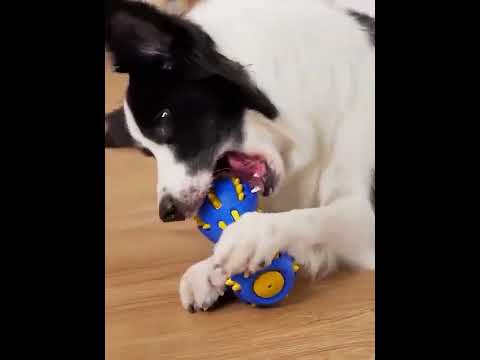 Video: Beste Hundeleker for Chewers