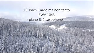 J.S. Bach: Largo ma non tanto from Concerto for two violins (BWV 1043) - piano & saxophone cover