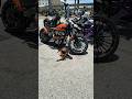 Now that’s a nice motorcycle #harleydavidson #carshow #shorts