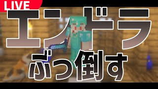 【Minecraft / 雑談】V鯖^ - エンドラ討伐行くぞｯ！【狼ケモ系Vtuber】