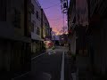 東京に来たことがある人は、きっと東京の街を歩くのが好きになるんじゃないかな。#東京散歩 #日本の美 #tokyostreet #japanvibes #vibe #aestheic #street