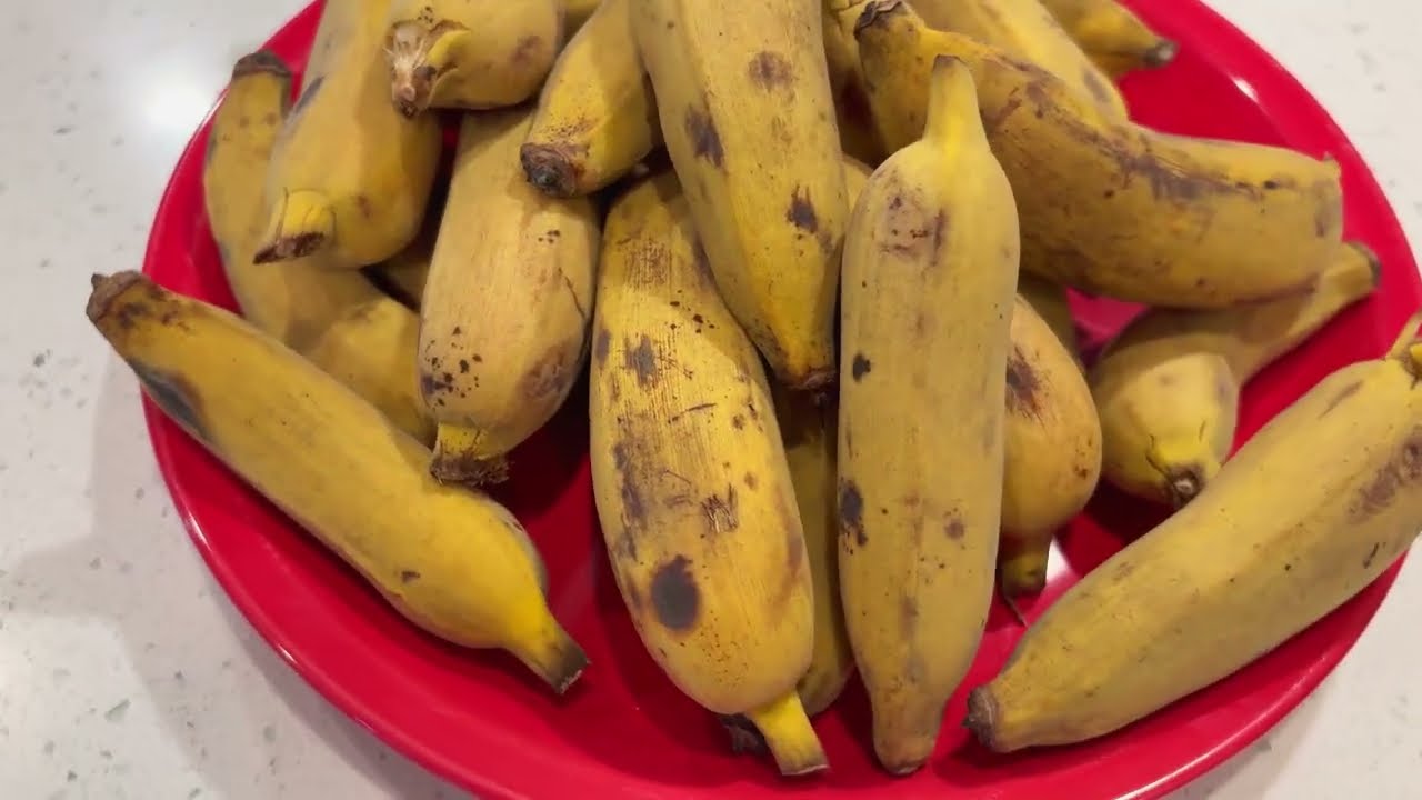 Turning the Last Banana Harvest Into Chips 🍌 | Dehydrator Method