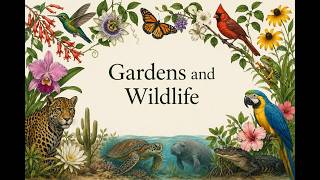 5 Gardens and Wildlife Port St Lucie